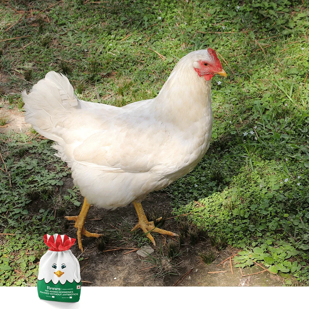 Live Weight (1.8kg) Antibiotic Free Chicken